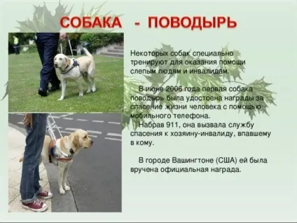 Презентація для уроку - собака - друг людини