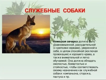 Презентація для уроку - собака - друг людини