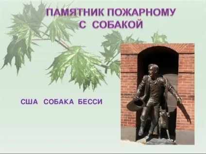 Презентація для уроку - собака - друг людини