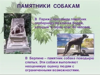 Презентація для уроку - собака - друг людини