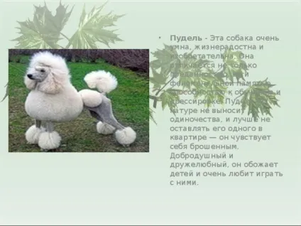 Презентація для уроку - собака - друг людини