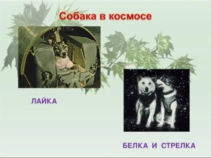 Презентація для уроку - собака - друг людини