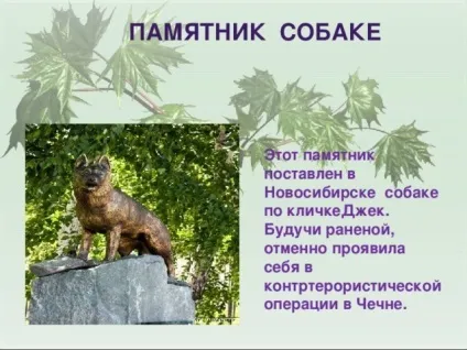 Презентація для уроку - собака - друг людини