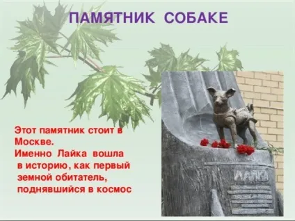 Презентація для уроку - собака - друг людини