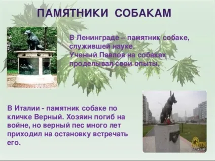 Презентація для уроку - собака - друг людини