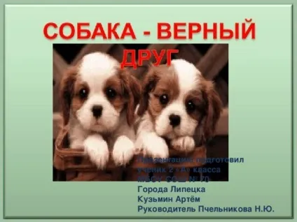 Презентація для уроку - собака - друг людини