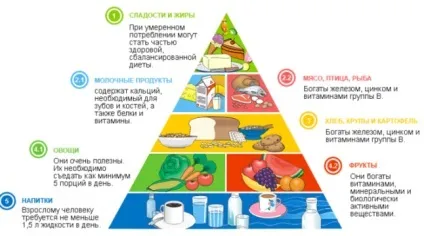 Причини, ознаки та лікування хронічних захворювань шлунково-кишкового тракту (діагностика захворювань) Причини, ознаки та лікування хронічних захворювань шлунково-кишкового тракту