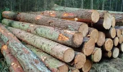 Застосування деревини в будівництві (застосування деревини) Застосування деревини в будівництві