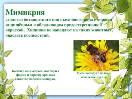 Презентація до уроку біології в 9 класі результати еволюції різноманіття видів, пристосованість (може) Презентація до уроку біології в 9 класі результати еволюції різноманіття видів, пристосованість