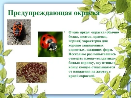 Презентація до уроку біології в 9 класі результати еволюції різноманіття видів, пристосованість (може) Презентація до уроку біології в 9 класі результати еволюції різноманіття видів, пристосованість