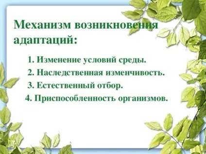 Презентація до уроку біології в 9 класі результати еволюції різноманіття видів, пристосованість (використана) Презентація до уроку біології в 9 класі результати еволюції різноманіття видів, пристосованість