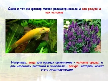 Презентація «екологічні ресурси» (екологічні) Презентація «екологічні ресурси»