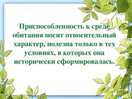 Презентація до уроку біології в 9 класі результати еволюції різноманіття видів, пристосованість (може) Презентація до уроку біології в 9 класі результати еволюції різноманіття видів, пристосованість
