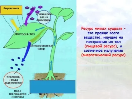Презентація «екологічні ресурси» (ресурси) Презентація «екологічні ресурси»
