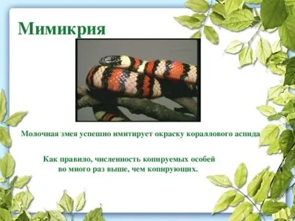 Презентація до уроку біології в 9 класі результати еволюції різноманіття видів, пристосованість (результати) Презентація до уроку біології в 9 класі результати еволюції різноманіття видів, пристосованість