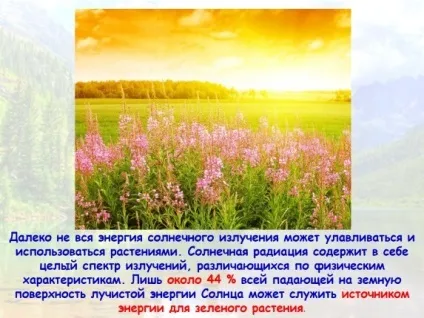 Презентація «екологічні ресурси» (випромінювання енергетичний ресурс) Презентація «екологічні ресурси»