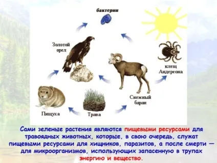 Презентація «екологічні ресурси» (екологічні) Презентація «екологічні ресурси»