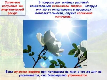 Презентація «екологічні ресурси» (екологічні) Презентація «екологічні ресурси»