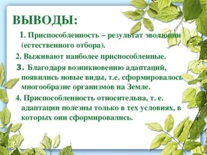 Презентація до уроку біології в 9 класі результати еволюції різноманіття видів, пристосованість (використана) Презентація до уроку біології в 9 класі результати еволюції різноманіття видів, пристосованість