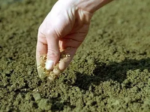 Професія почвовед опис, де вчитися, необхідні якості