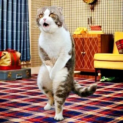 Привчаємо до горщика