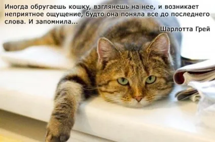 Привчаємо до горщика