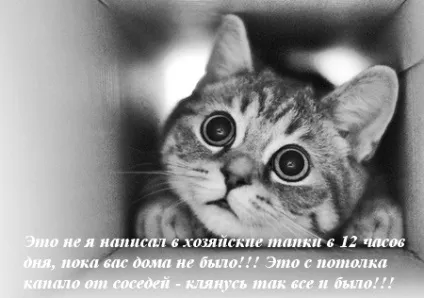 Привчаємо до горщика
