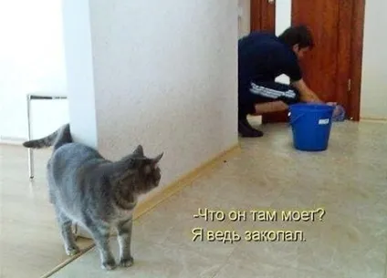 Привчаємо до горщика