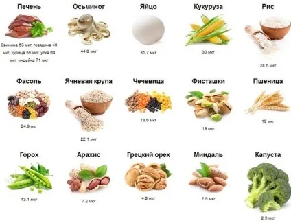 Продукти, що містять селен у великій кількості (кількості) Продукти, що містять селен у великій кількості