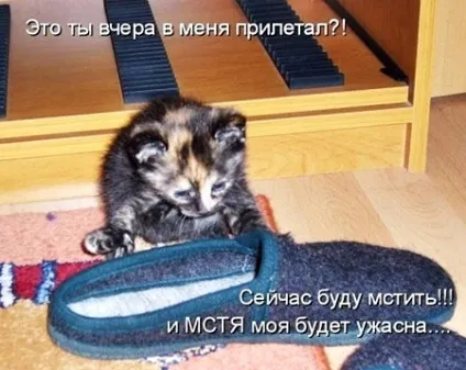 Привчаємо до горщика