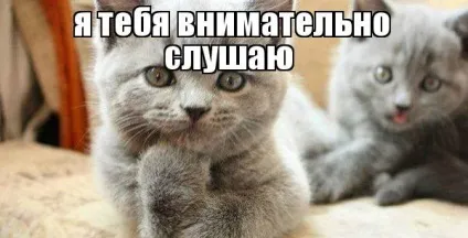 Просто чесна стаття про схуднення