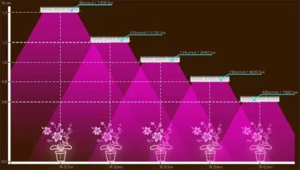 Проста led фітолампи для рослин своїми руками (своїми) Проста led фітолампи для рослин своїми руками
