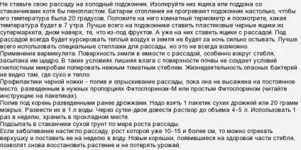 Розсада помідор в'яне і падає на бік (городництво) Розсада помідор в'яне і падає на бік