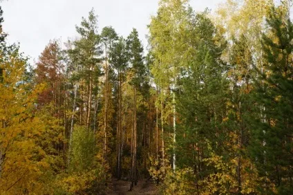 Розповідь про Луганські кар'єри - наш урал