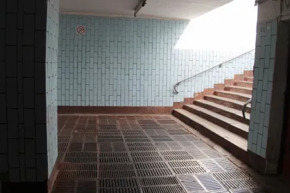 Шлях до музею державний дарвінівський музей (культурний) Шлях до музею державний дарвінівський музей