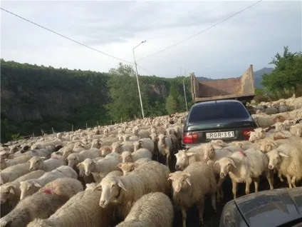 Подорож до Грузії на машині