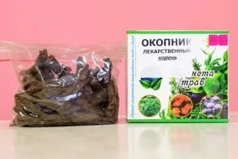 Рослина живокіст і його застосування для лікування захворювань (лікування) Рослина живокіст і його застосування для лікування захворювань