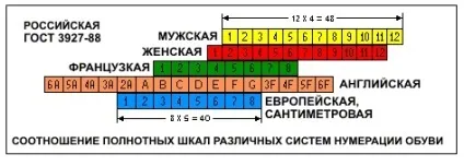 Розмір взуття, як визначити (користь) Розмір взуття, як визначити