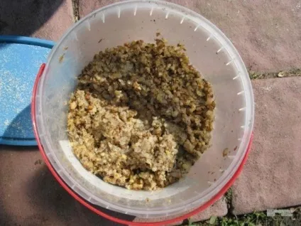 Розведення карасів у ставку на дачі особливості вирощування раків, коропів, фото і відео (дачі) Розведення карасів у ставку на дачі особливості вирощування раків, коропів, фото і відео