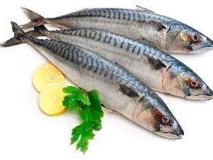 Рецепт запеченої скумбрії з овочами в духовці (скумбрії) Рецепт запеченої скумбрії з овочами в духовці