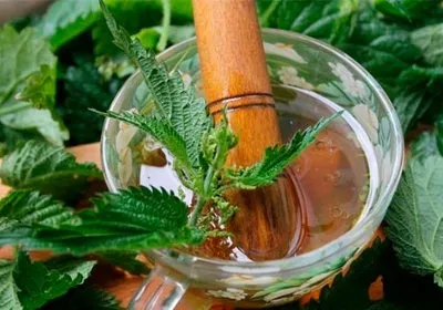 Рецепти і маски для обличчя з кропивою (рецепти) Рецепти і маски для обличчя з кропивою