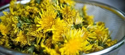 Рецепти по призначенню здивувати гостей (рецепти) Рецепти по призначенню здивувати гостей