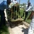 українська туристка розповіла, як їй вдалося вижити в криваву різанину в Хургаді, туристичні (українська туристка розповіла) українська туристка розповіла, як їй вдалося вижити в криваву різанину в Хургаді, туристичні