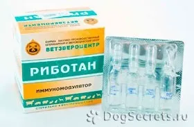 Ріботан для собак інструкція із застосування, ціна, відгуки (ліки) Ріботан для собак інструкція із застосування, ціна, відгуки