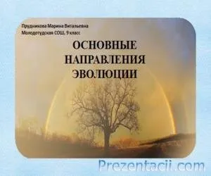 Результати еволюції - презентація по біології (розробка) Результати еволюції - презентація по біології