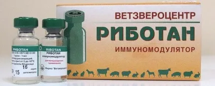 Ріботан - інструкція із застосування для собак, відгуки, ціна, «дай лапу» (застосування) Ріботан - інструкція із застосування для собак, відгуки, ціна, «дай лапу»