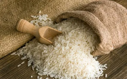 Різотто з куркою 2 рецепта з овочами і грибами (рецепта) Різотто з куркою 2 рецепта з овочами і грибами