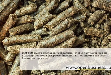 Ринок пелетів перспективи відкриття свого бізнесу (виробництво пелетів) Ринок пелетів перспективи відкриття свого бізнесу