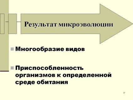 Результат мікроеволюції - презентація 13941-17 (видоутворення) Результат мікроеволюції - презентація 13941-17
