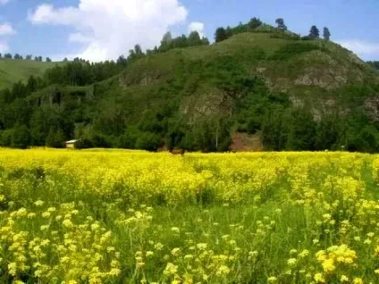 Україна ненавидять багато